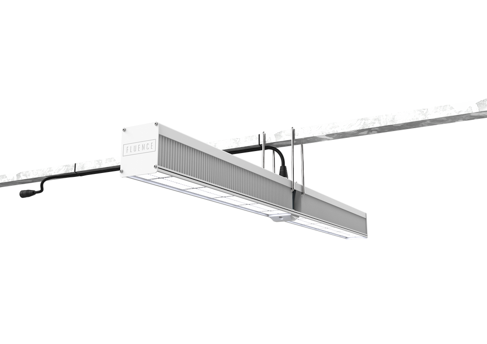 Fluence VYPR 3p greenhouse LED top light on rigid perpendicular mount