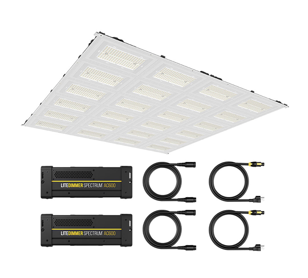 LiteGear Auroris X