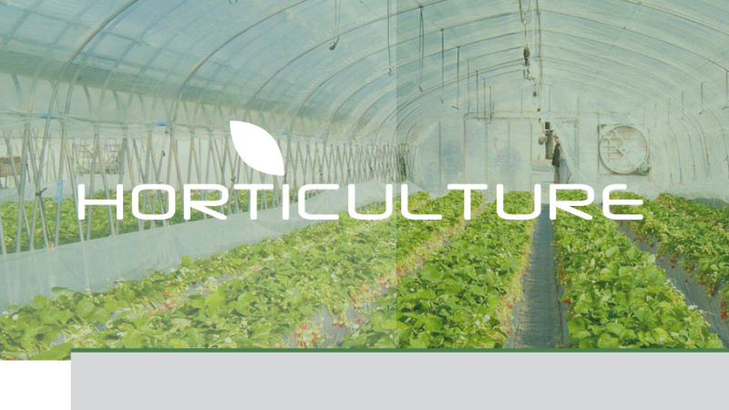 Horticulture: Let there be (grow) light