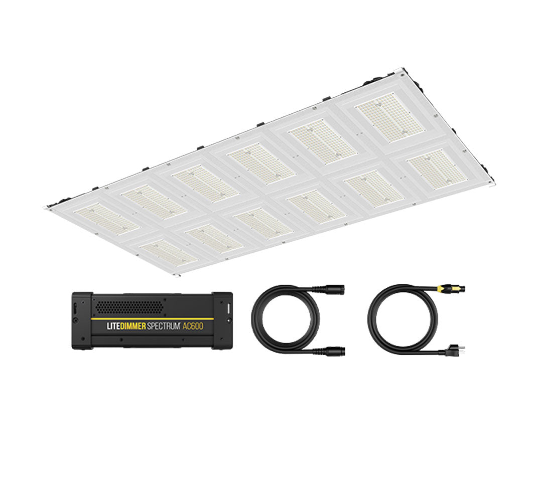 LiteGear Auroris V