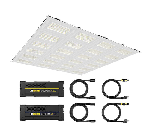LiteGear Auroris X