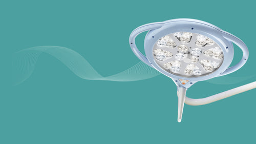 Rimsa Cavalier Dual Head